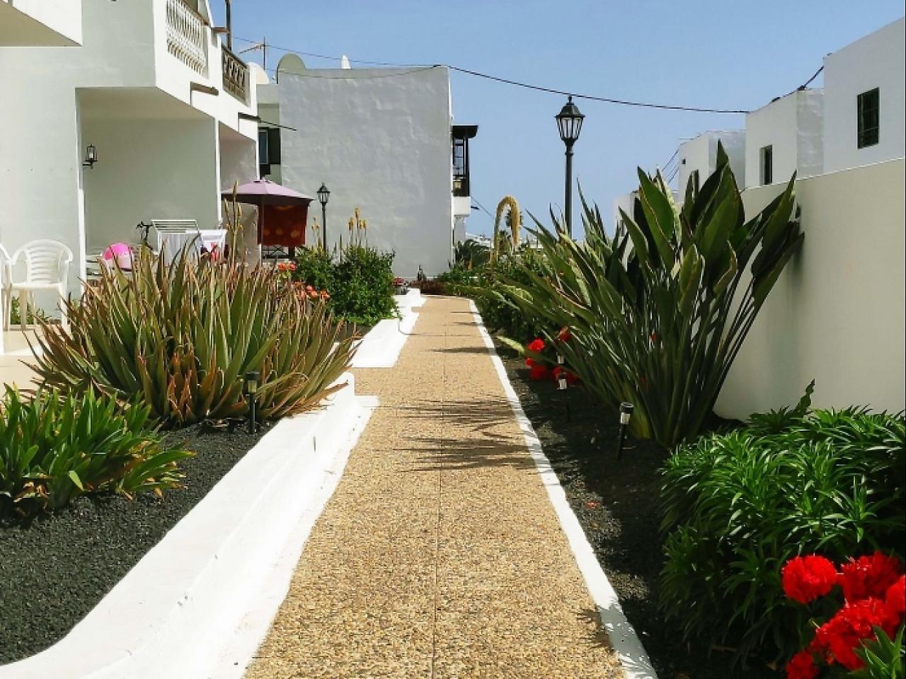 El Timple Διαμέρισμα Tías Εξωτερικό φωτογραφία